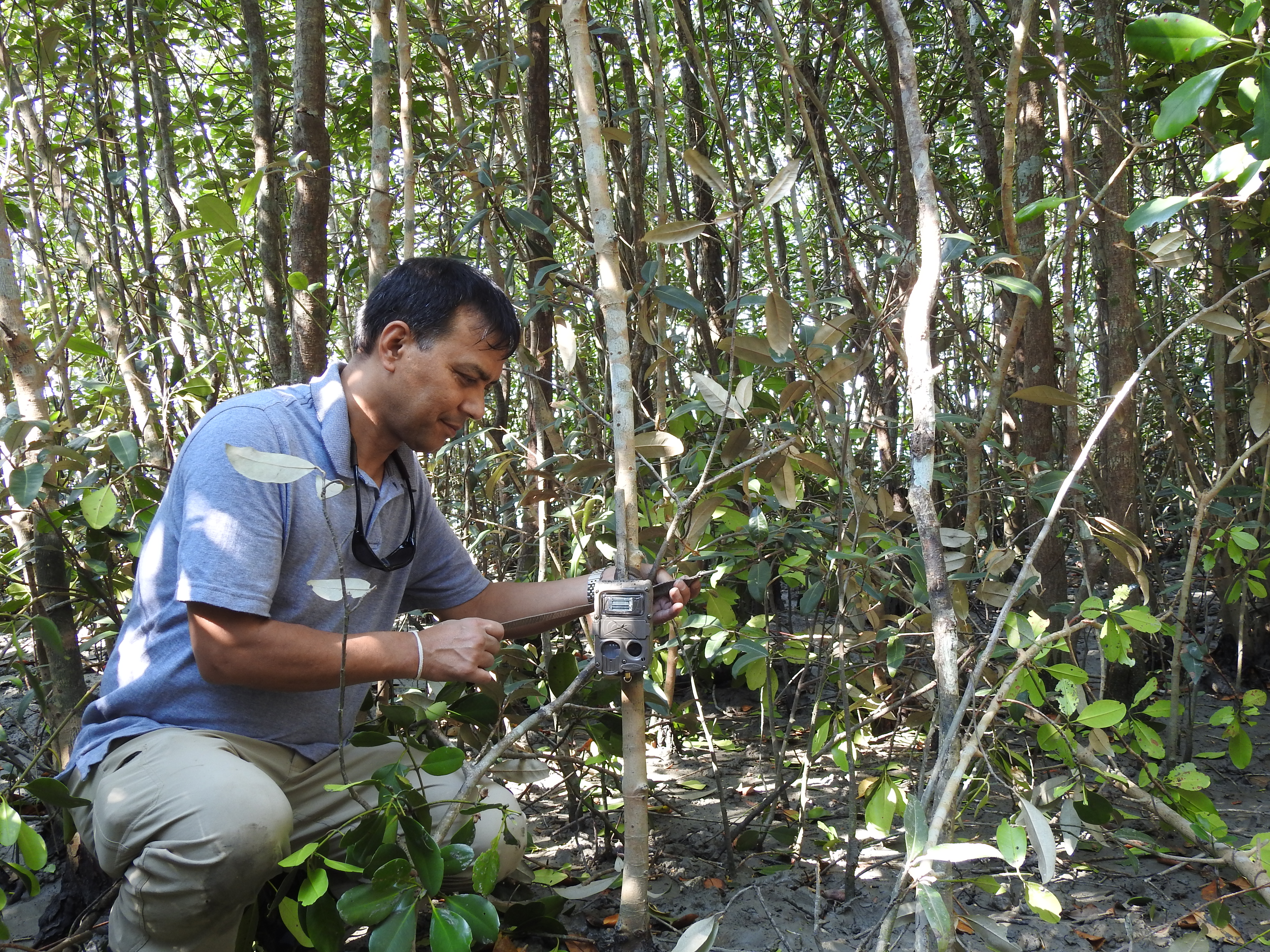 Dr. Mahendra Shrestha