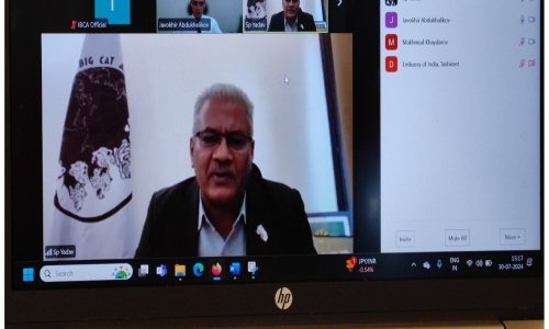 Uzbekistan virtual meeting screenshot