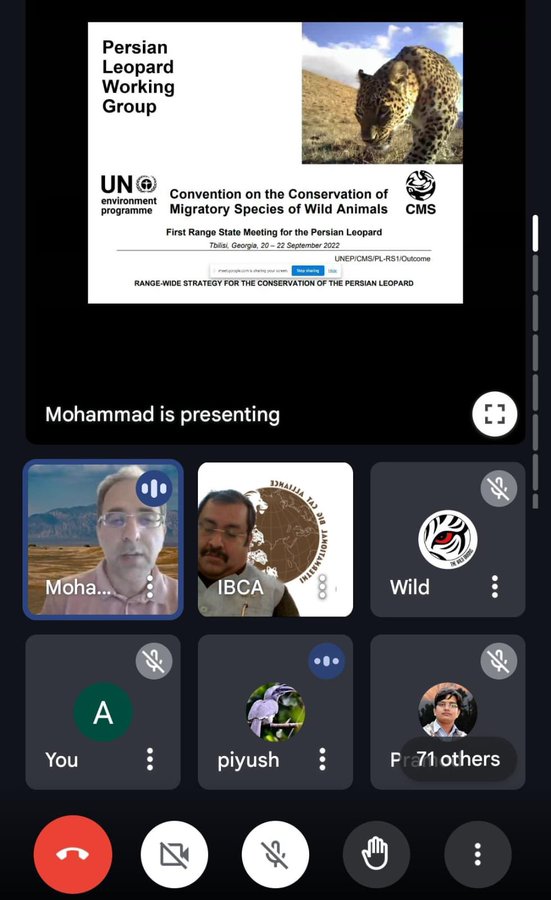 Steering Committee Image 1