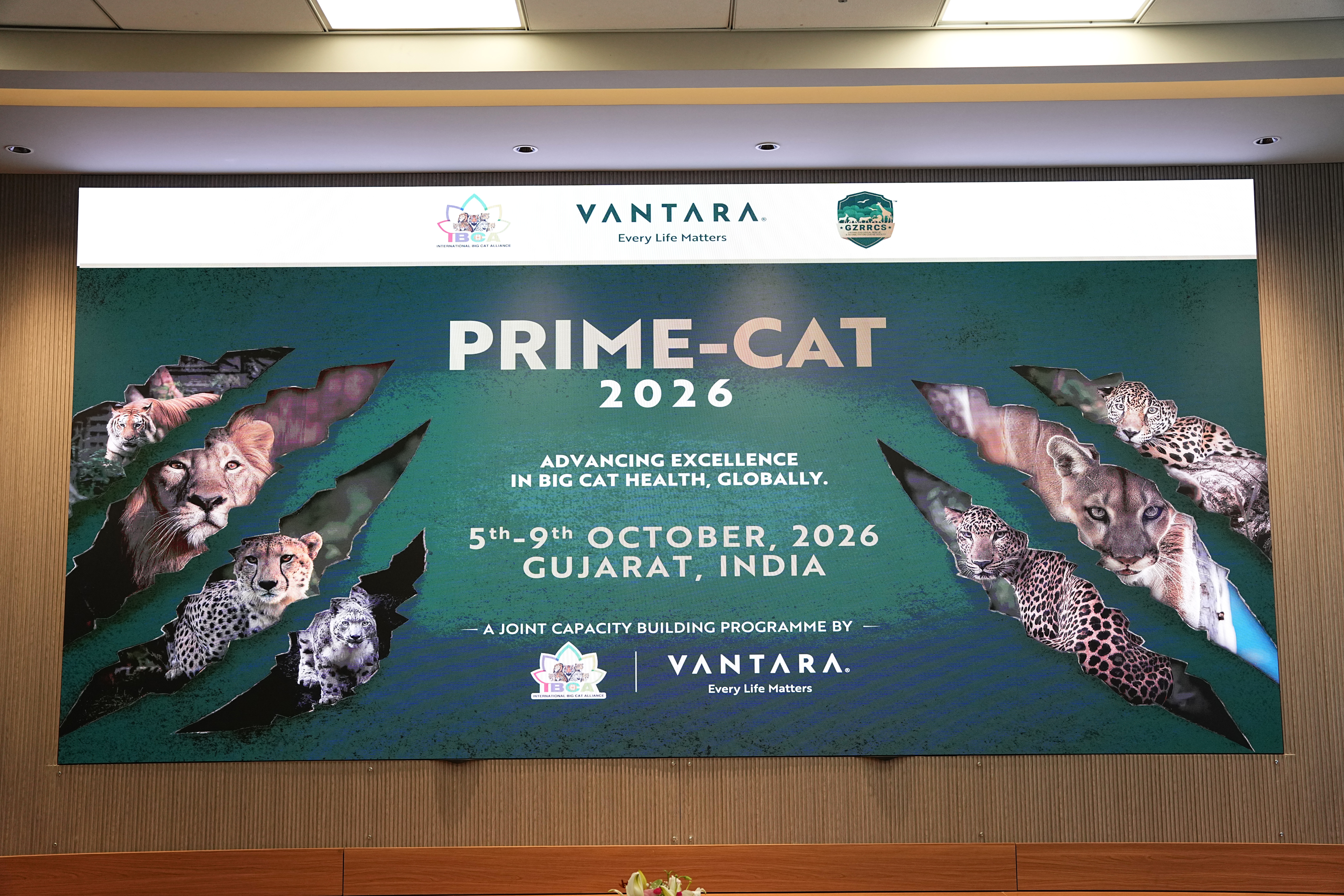 PRIME-CAT 2026 Programme