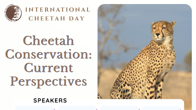 World Environment Day webinar composite graphic