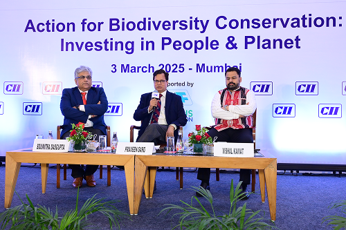 IBCA and CII Conference