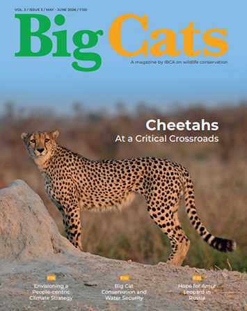 May June 2026 magazine cover