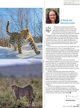 May June 2026 magazine second preview