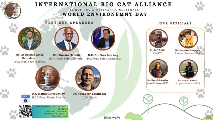 World Environment Day webinar composite graphic