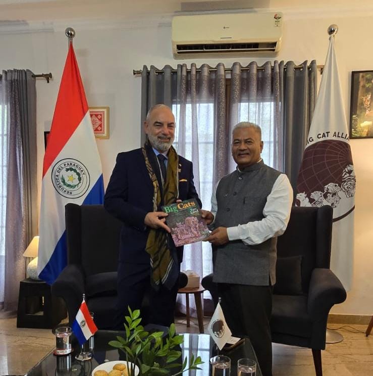 Paraguay Agreement Image 1