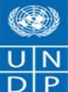 UNDP logo