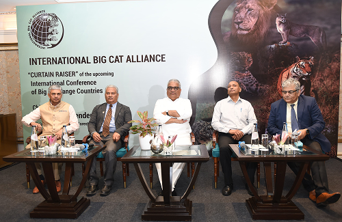 Steering Committee Image 1