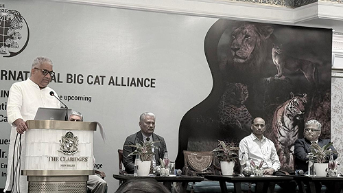 Steering Committee Image 1