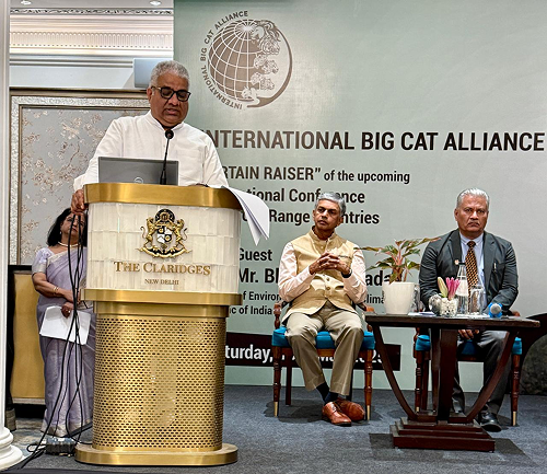 Steering Committee Image 1