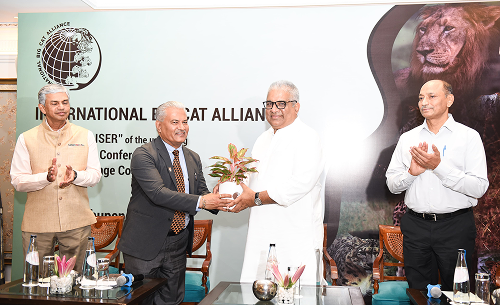 Steering Committee Image 1