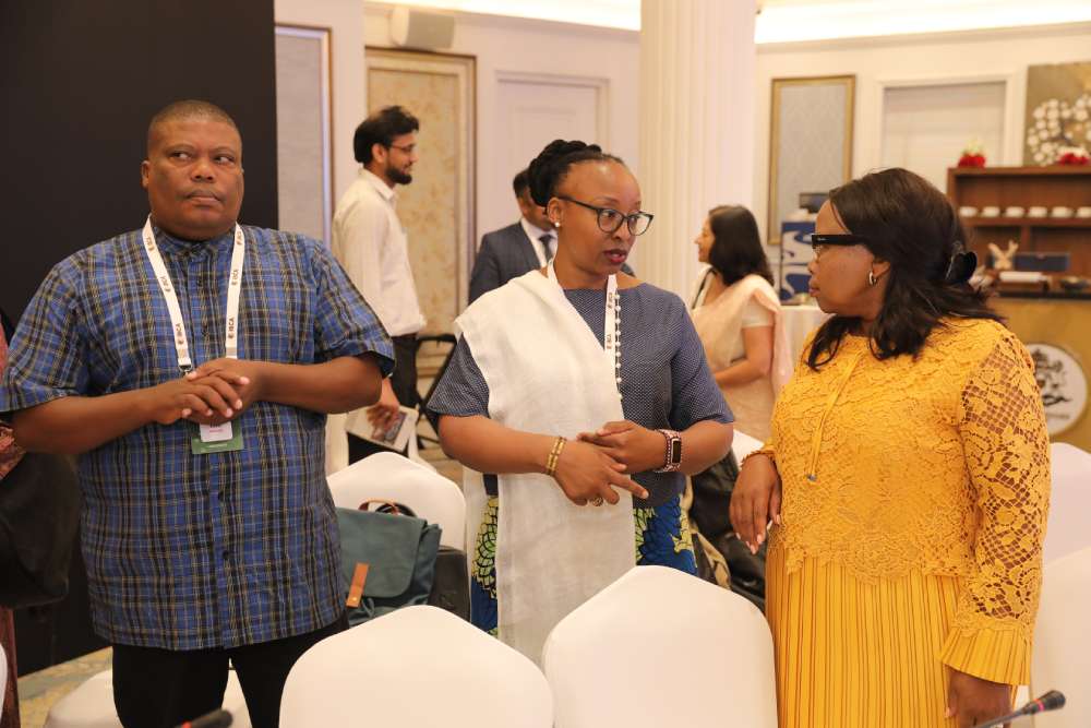 First assembly of IBCA