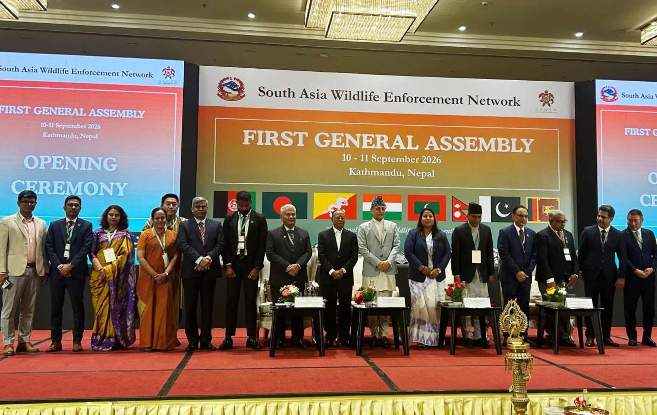 DG, IBCA Highlights India’s Tiger Conservation Success at 30x30 Dialogue