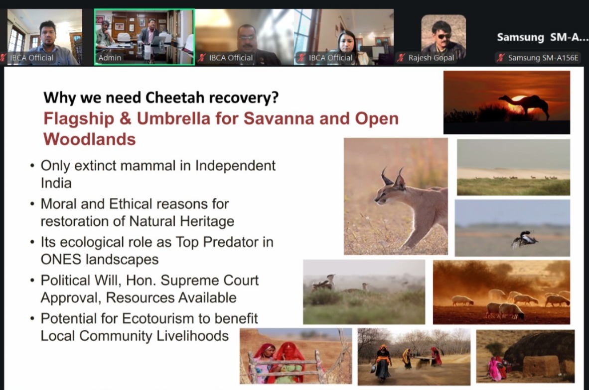 Steering Committee Image 3