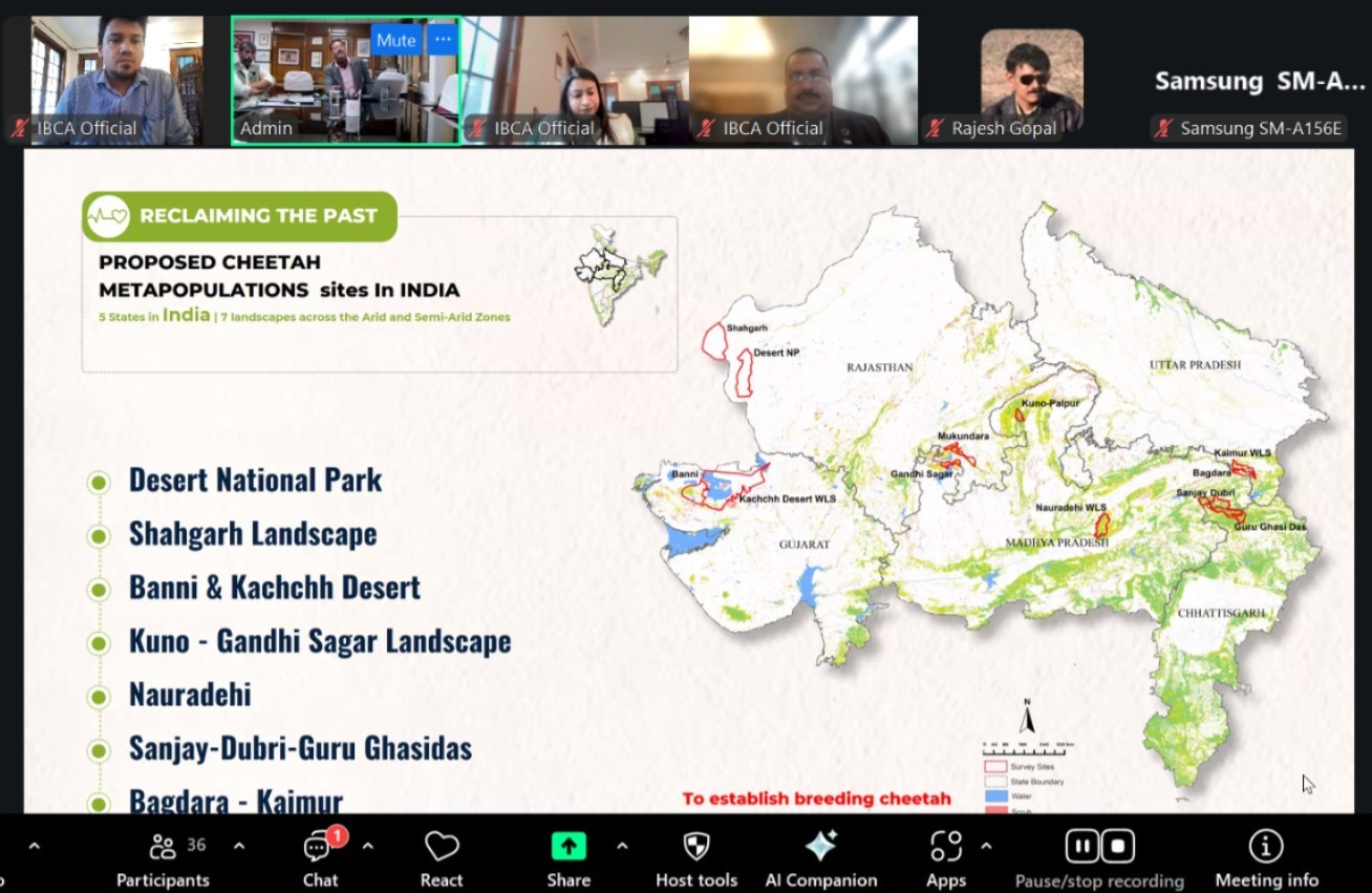 Steering Committee Image 4