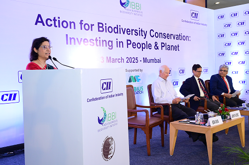 Steering Committee Image 3