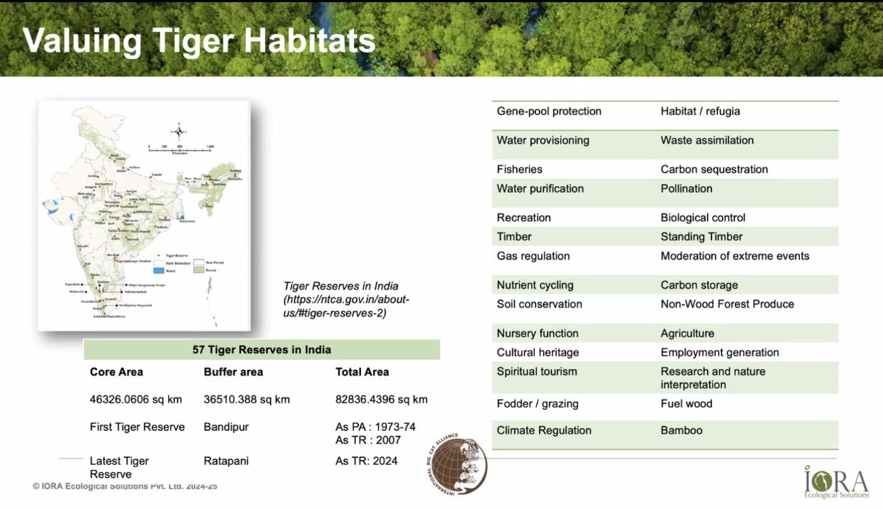 Steering Committee Image 4