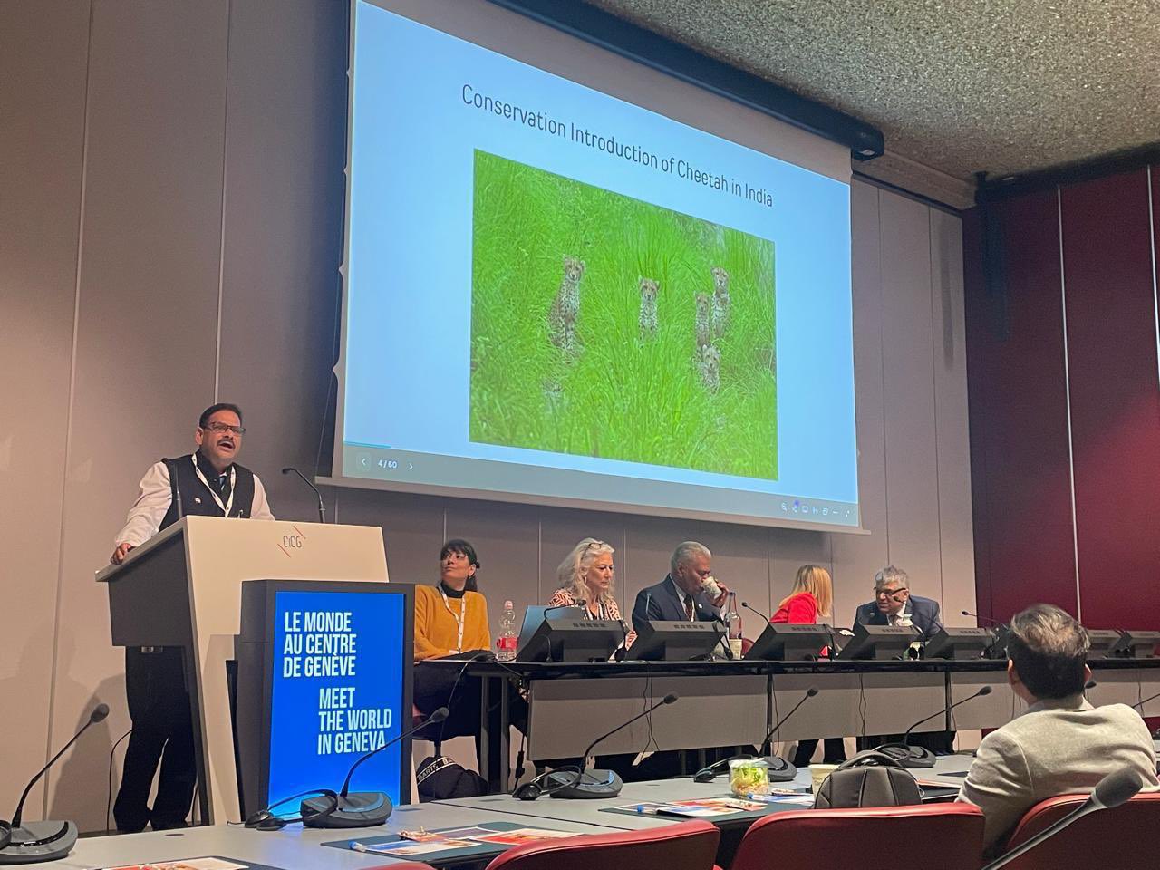 Steering Committee Image 1