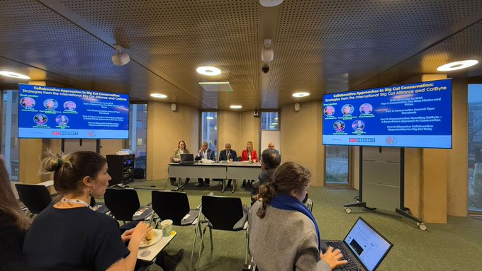 Steering Committee Image 3