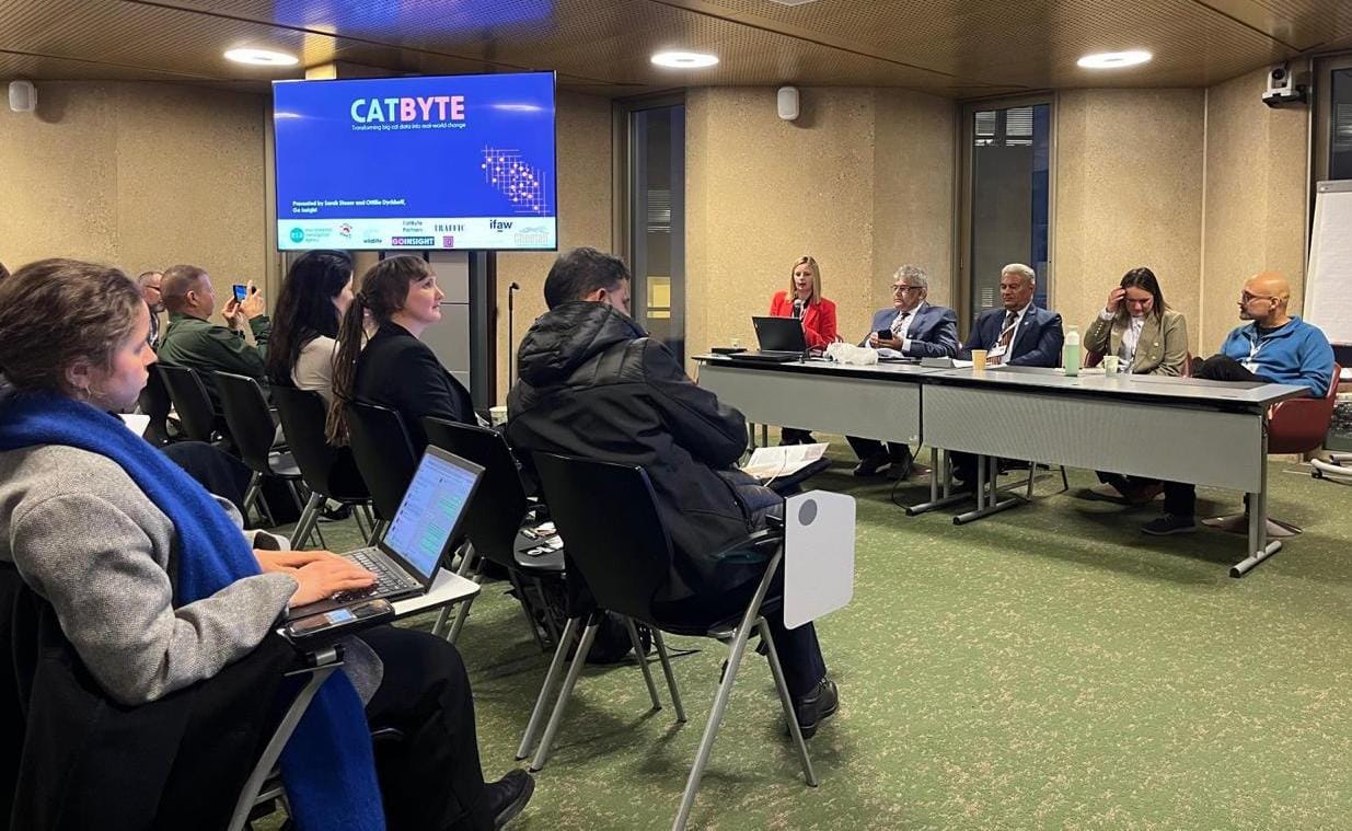 Steering Committee Image 3