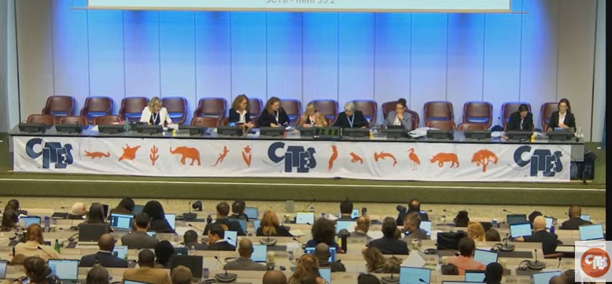 Steering Committee Image 3