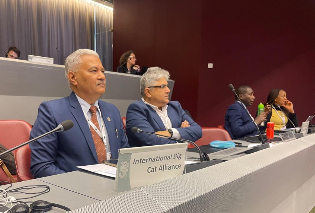 Steering Committee Image 3