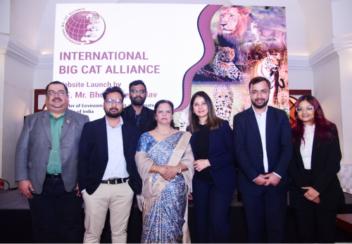 Steering Committee Image 1