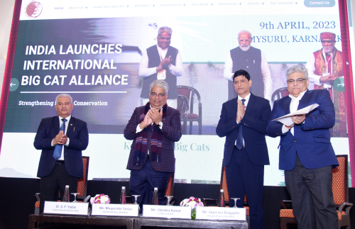 Steering Committee Image 3