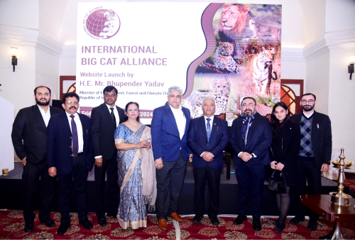 Steering Committee Image 3