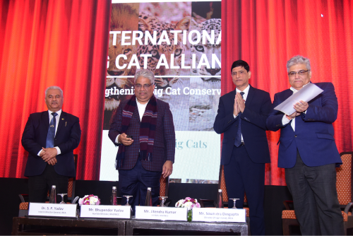 Steering Committee Image 3