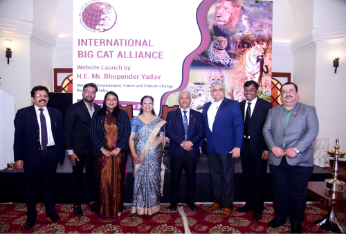 Steering Committee Image 3