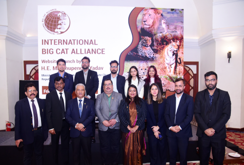 Steering Committee Image 3