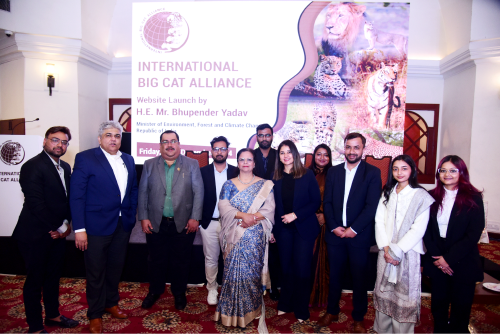 Steering Committee Image 3