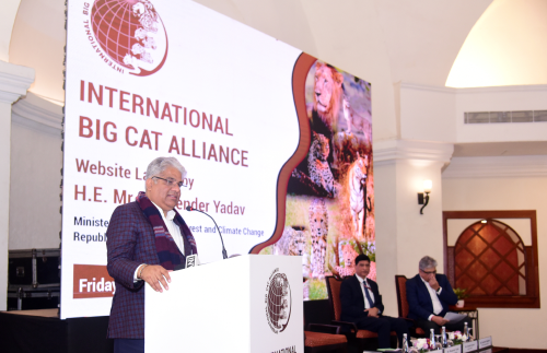 Steering Committee Image 3