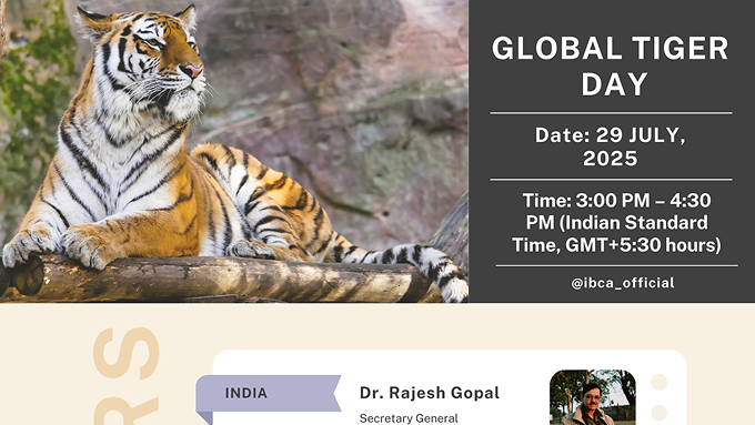 World Environment Day webinar composite graphic