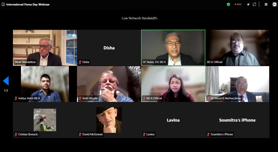 World Environment Day webinar composite graphic