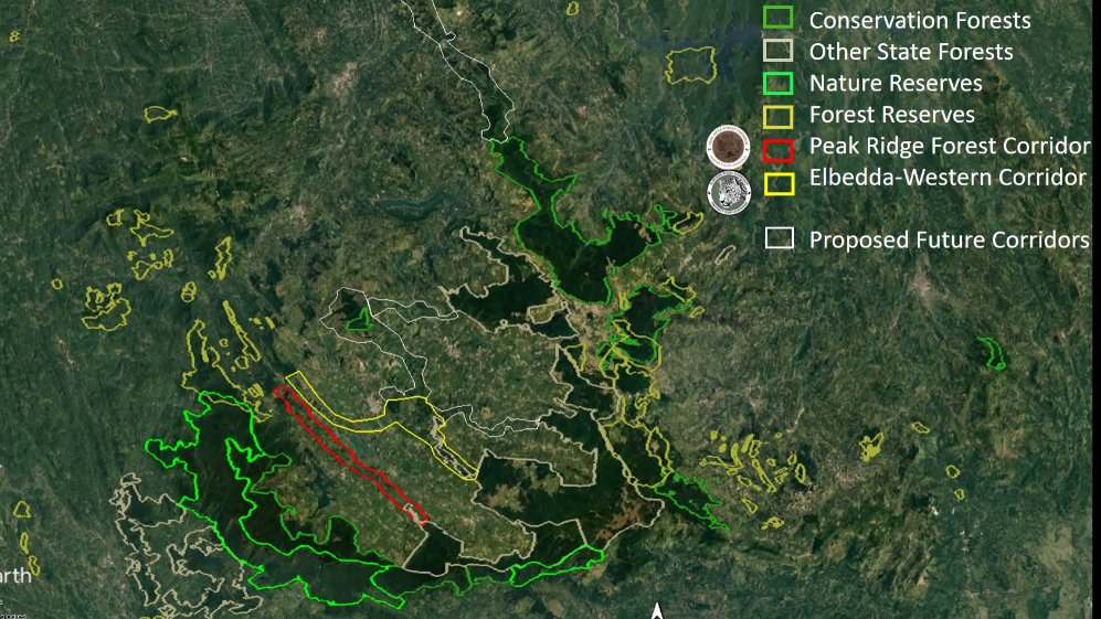 Steering Committee Image 1